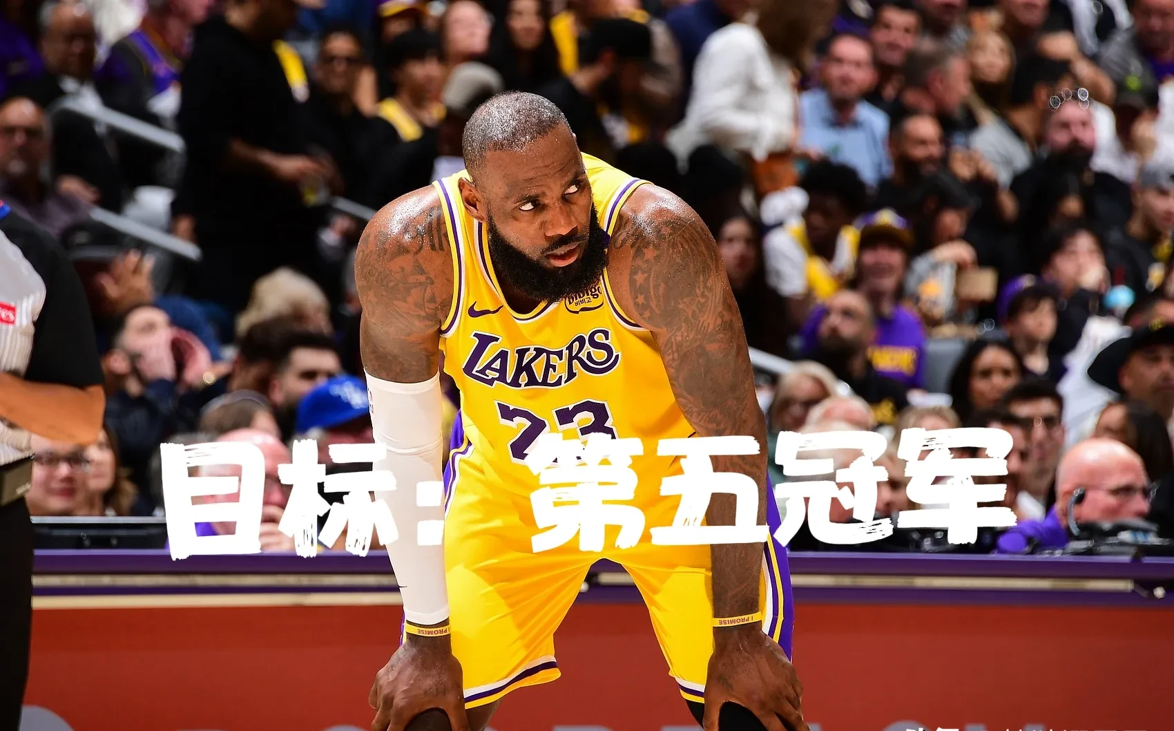 詹姆斯回归赛场，连败首场状态亮眼，日本队观众沸腾！的简单介绍